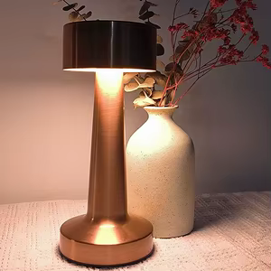 Touch Lamp 2
